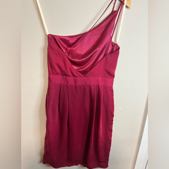BCBG Wine Colored (Red Berry) Mini Dress - Picture 8 of 8